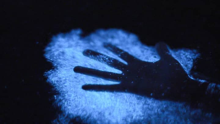 A hand glowing in a bioluminescent bay
